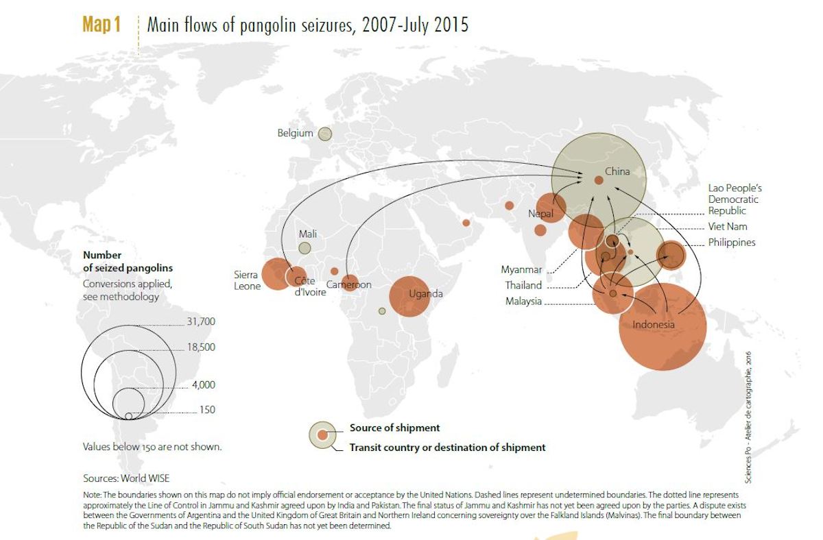 Image courtesy of UNODC, World Wildlife Crime Report: Trafficking in protected species, 2016.