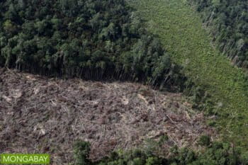 Rainforest cleared for an oil palm plantation in Indonesia. Photo by Rhett A. Butler