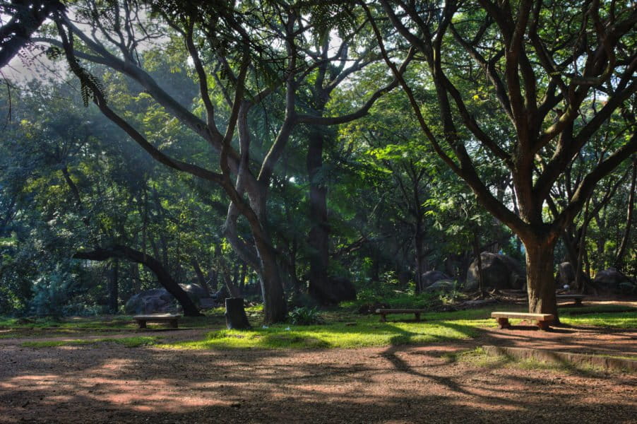 Cubbon Park is one of Bengaluru's most popular green spaces. Photo by Yair Aronshtam, from Flickr, CC BY-SA 2.0.