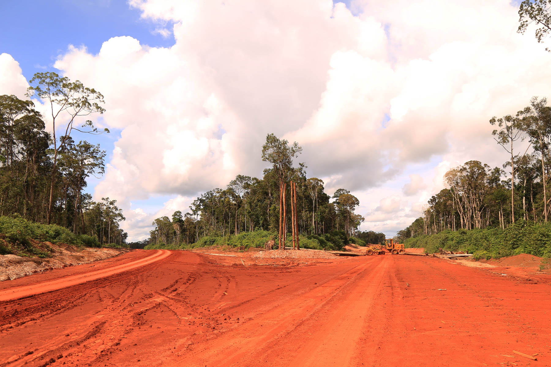 An access road into one of Korindo's concessions in Papua. Photo courtesy of Mighty