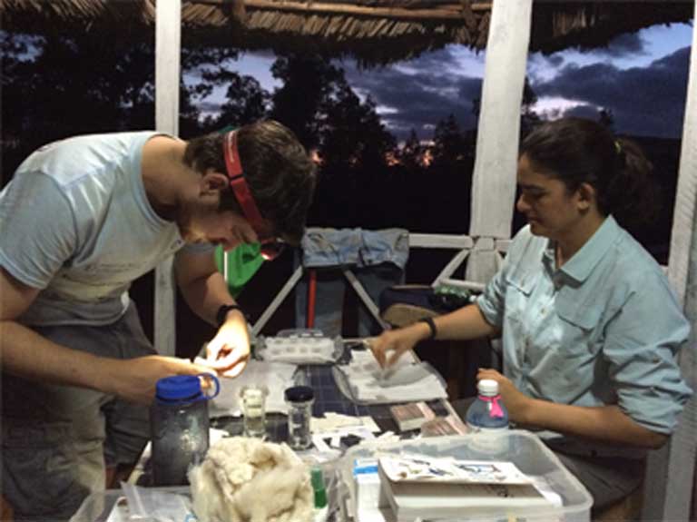 Ana Porzecanski (director of AMNH’s Center for Biodiversity and Conservation) and Spencer Galen (AMNH Richard Gilder Graduate School Ph.D.-degree candidate) prepare field collections. The scientists worked around the clock in Cuba. The ornithology team opened their nets by dawn, while the bat people set up nets at night, and the herpetologist was always coming and going, says Porzecanski. Photo courtesy of ©AMNH