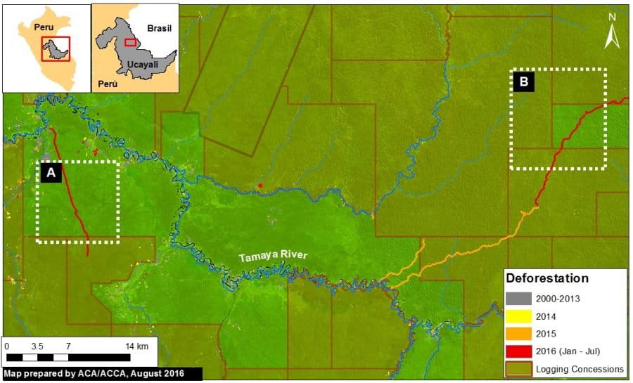 MAAP researchers recently deteted new logging roads in eastern Peru. Image courtesy of MAAP, with data from UMD/GLAD, Hansen/UMD/Google/USGS/NASA, MINAGRI