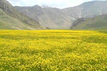 Lar National Park in northern Iran, about 100 kilometers from Tehran. Photo by Mahdi Kalhor via Panoramio