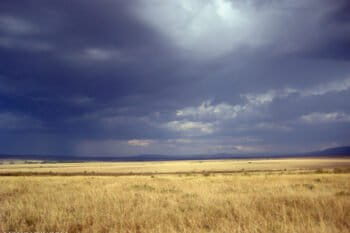 Rainstorm approaching across the Mara savanna (East Africa). Photo by Rhett Butler.