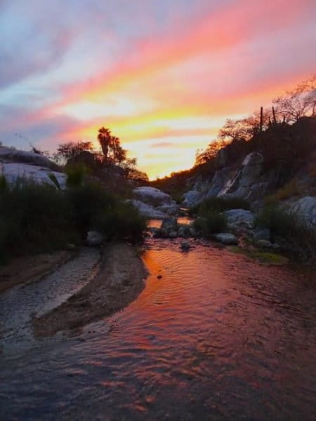 Inside Sierra la Laguna. Photo by Ben Wilder.