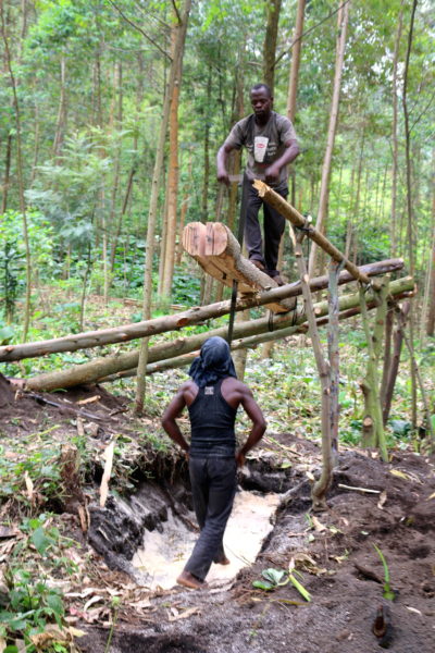 Community members harvest timber near Sake, which holds a weekly timber market that attracts customers from all over the DRC. Photo by Sophie Mbugua