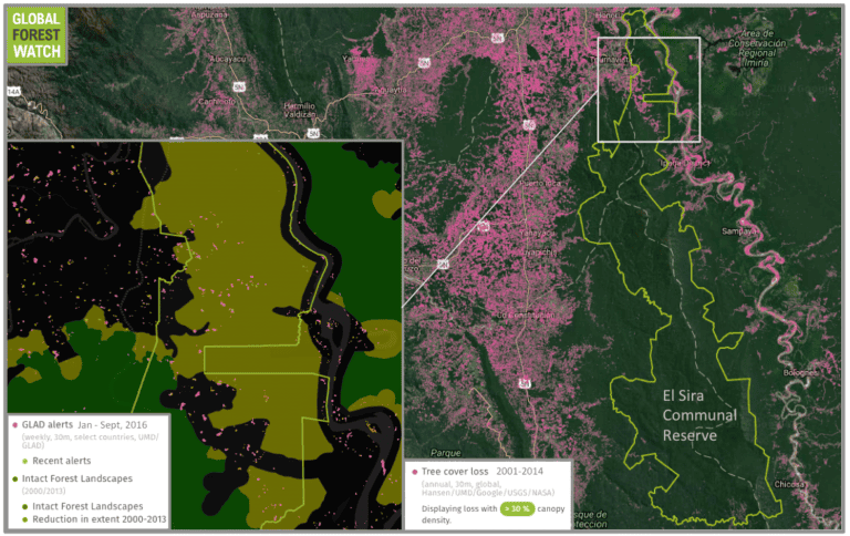 El Sira Communal Reserve has acted somewhat like an island in a sea of deforestation, but the recent MAAP analysis indicates it is not completely immune from conversion pressure. 