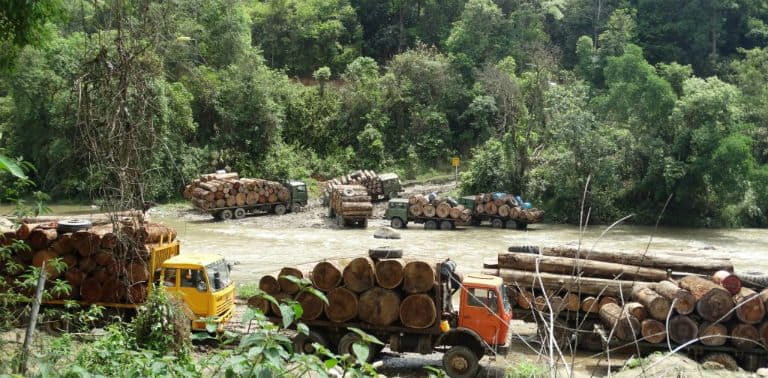 Log trucks in Kachin waiting to cross into China in April 2015. Photo courtesy of Environmental Investigation Agency