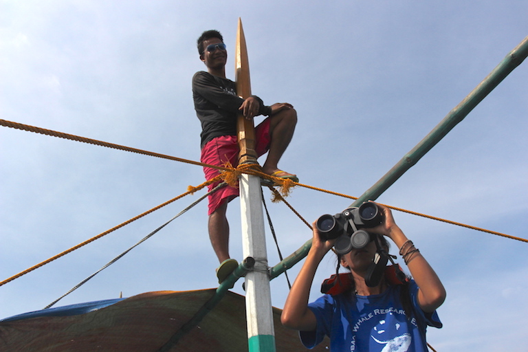 Volunteers maintain a split-level look out for passing humpback whales in the waters of the Babuyan Islands in the North Philippines. Photo by Melati Kaye