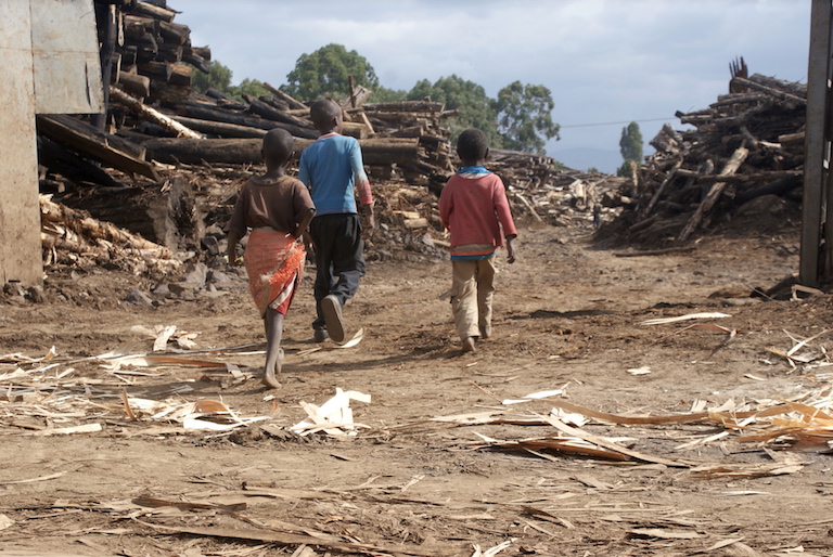 Child laborers enter a saw mill in the town of Njoro in Kenya’s Rift Valley. Photo by David Njagi