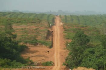 Sime Darby plantation in Cape Mount County. Photo courtesy JPN Liberia