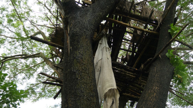 A battered tree house that villagers say was abandoned because it was attacked by elephants. Courtesy of David Doyle