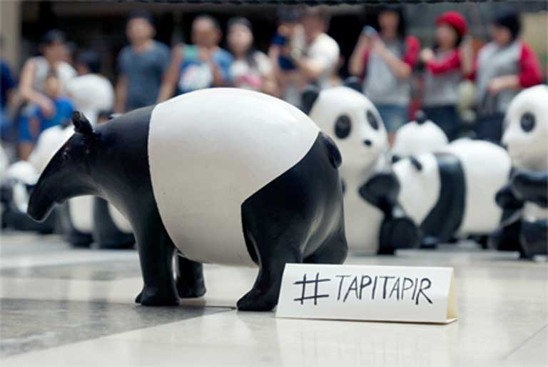 Kelvin Low’s #TAPITAPIR project drew public attention to the tapir’s plight. Photo courtesy of Kelvin Low