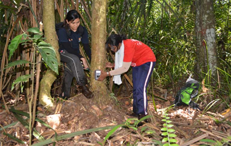 Geetha Annavi (R) and one of her students attach a camera trap to a tree in the North Selangor Peat Swamp Forest. Photo courtesy of Geetha Annavi