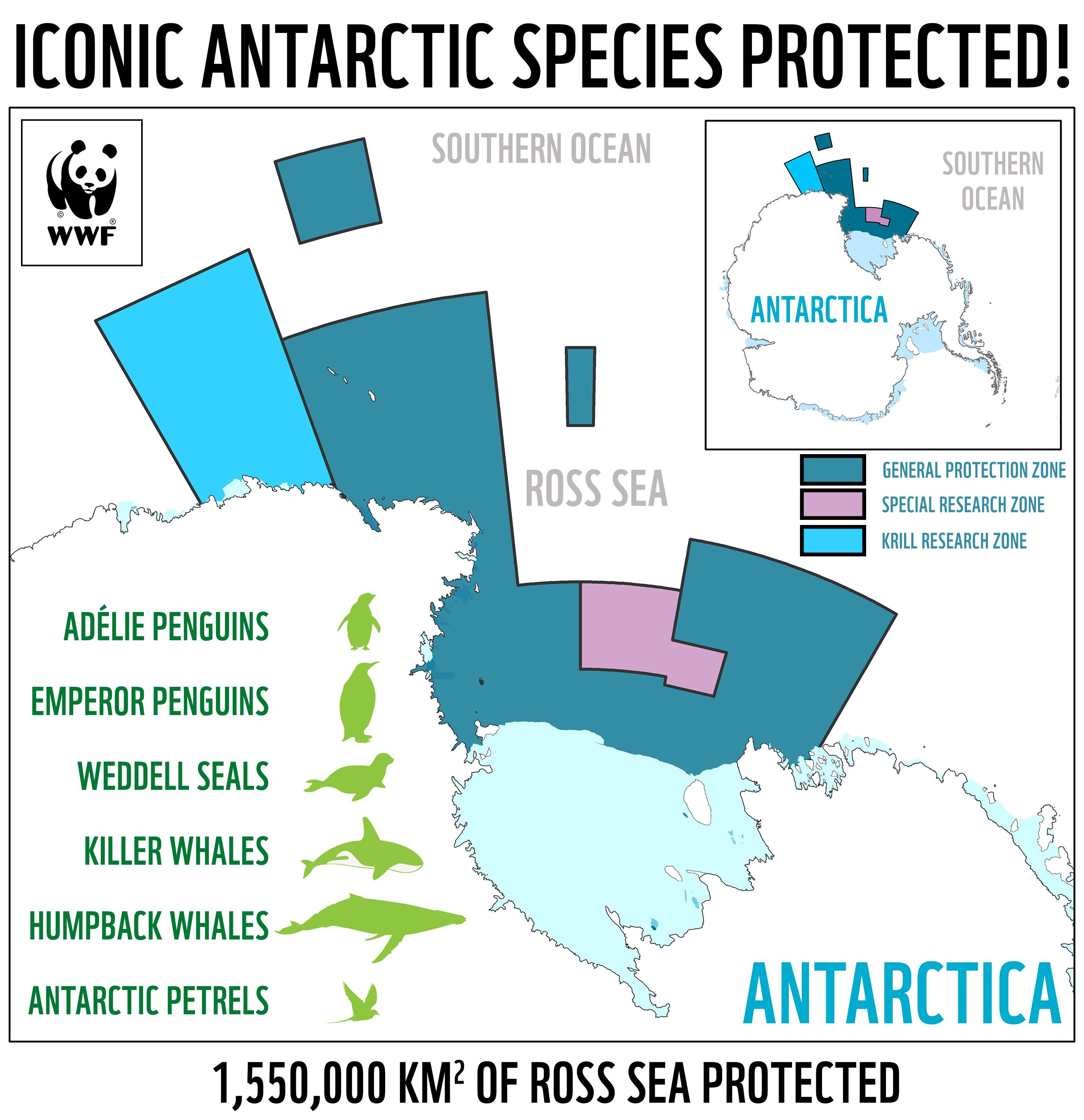 World S Largest Marine Protected Area Created In Antarctica   Rosssea Iconic Species Protected 