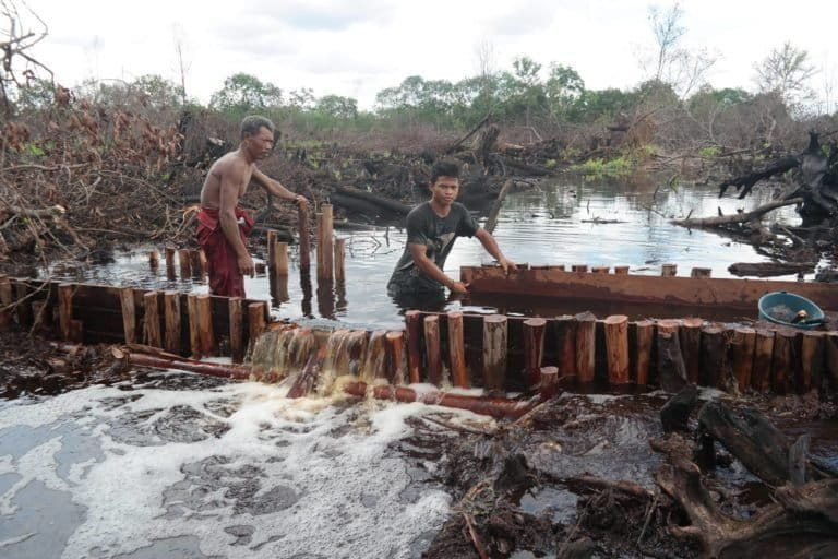 Volunteers dam a drainage canal in a peat landscape that appears to have burned recently. Photo courtesy of Jumpun Pambelom