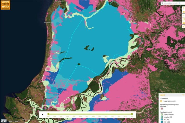 Global Forest Watch Commodities showing PT Mohairson Pawan Khatulistiwa's concession in Sungai Putri, including the concession area and peat depth. Courtesy of World Resources Institute