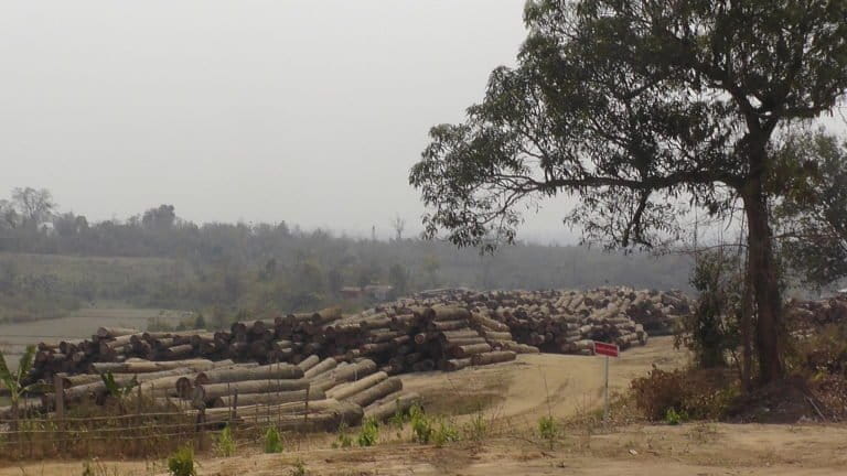 A Myanmar Timber Enterprise log depot in Sagaing Division holds stockpiled timber. Photo courtesy of Environmental Investigation Agency