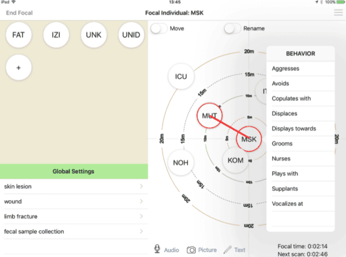 Screenshot of a user recording an interaction between individuals using the Focal Sampling mode in Animal Observer. Photo credit: The Dian Fossey Gorilla Fund International