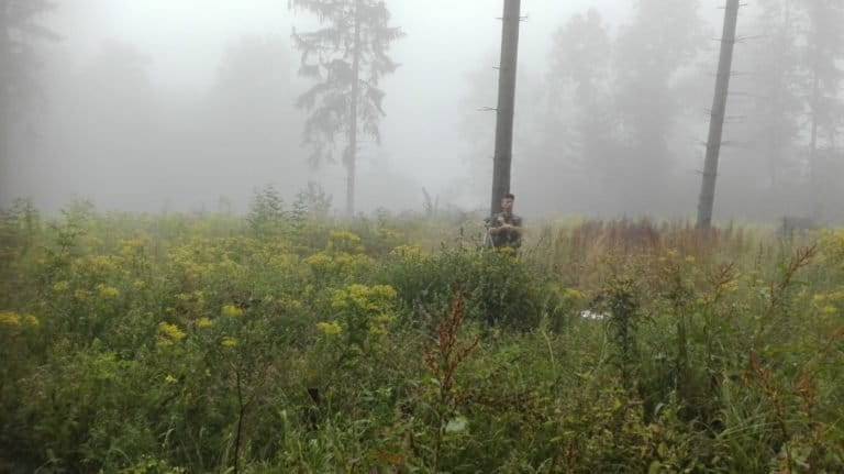 Coauthor Radomir Balazy collects data from forests in Poland. Photo by Marek Drozd.