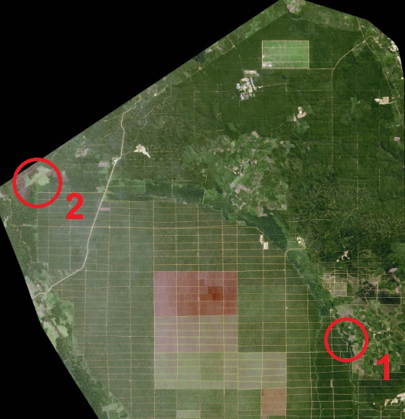 A view from the SPOT 6 satellite of an oil palm plantation in North Sumatra, Indonesia.