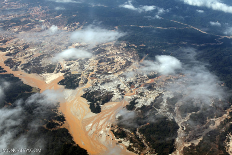 In Peru’s Madre de Dios, deforestation from mining brings huge economic losses