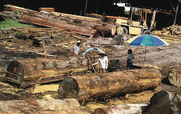 Logging in Malaysia. REDD+ is a mechanism for curbing the wholesale destruction of tropical forests, vital to carbon storage. Photo by Stephen Codrington licensed under the Creative Commons Attribution 2.5 Generic license