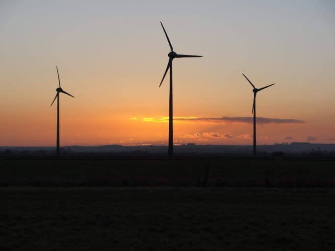 Studies conducted before the construction of wind farms weren't accurate predictors of whether the turbines would pose a threat to bats, according to the study. Photo courtesy of Fiona Mathews