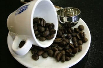 A coffee cup with beans. Photo by Lotus Head/Wikimedia Commons