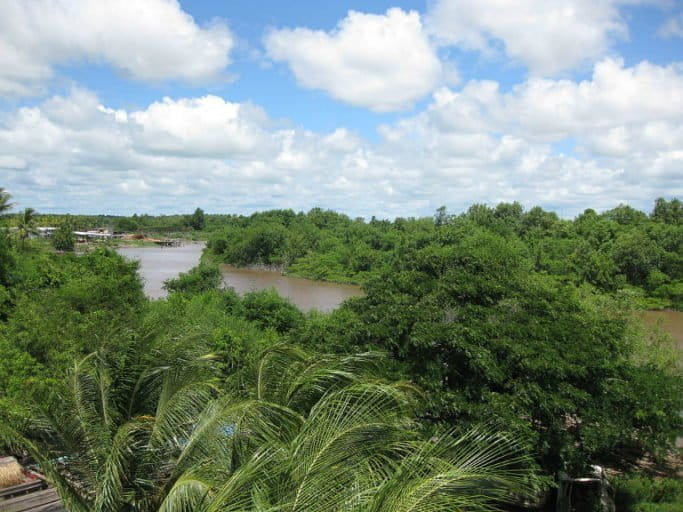 A view of the Canje River and surrounding forest in Guyana, taken from the Canje Bridge. Photo by Loriski/Wikimedia Commons