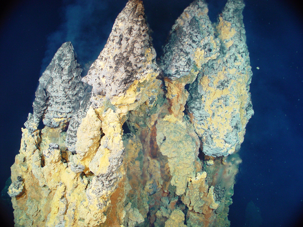 Active "smoker" chimneys precipitating iron, copper and zinc sulfides from 230øC fluid. Photo courtesy of Pacific Ring of Fire 2004 Expedition. NOAA Office of Ocean Exploration; Dr. Bob Embley, NOAA PMEL, Chief Scientist. 