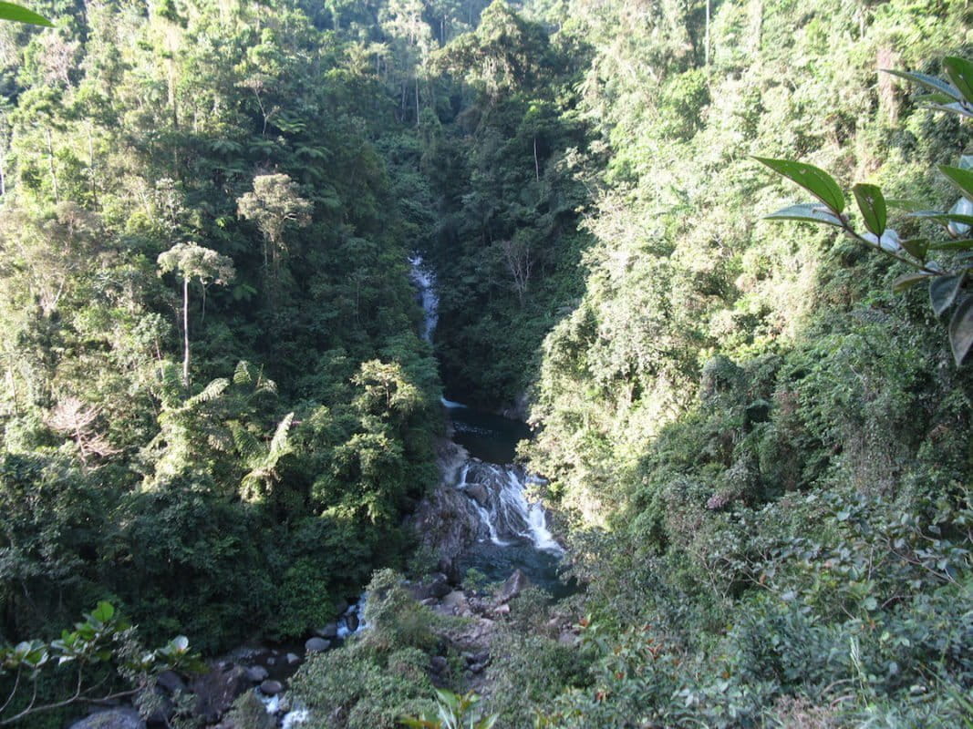 One of the research team's survey sites in Mindanao. Photo courtesy of Marites