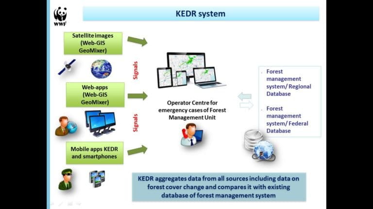 KEDR generates alerts pertaining to forest cover change by applying the GLAD (Global Land Analysis and Discovery) algorithm on medium-resolution satellite images. The system also incorporates additional information—forest taxa, high-resolution satellite images, data from drones and signals sent by rangers on the ground and citizen witnesses.