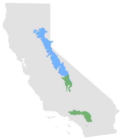 The current range of Rana sierrae is only 7 percent of its historic range (blue). (The range is Rana muscosa, the mountain yellow-legged frog, is shown in green) Map credit: Roland Knapp.