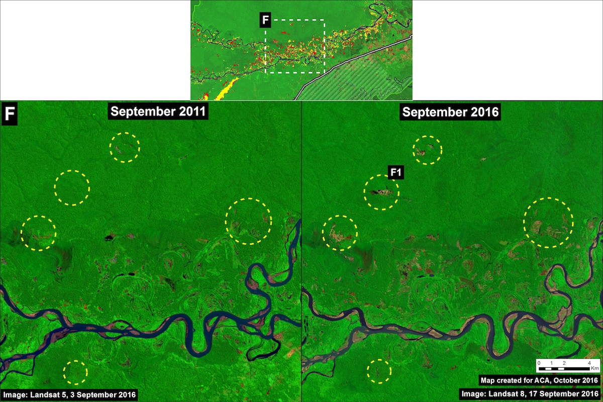 NASA photo shows 'gold' Peruvian rivers