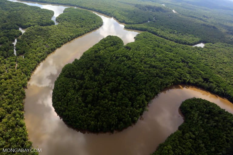 The lower Kinabatangan river. Photo by Rhett A. Butler