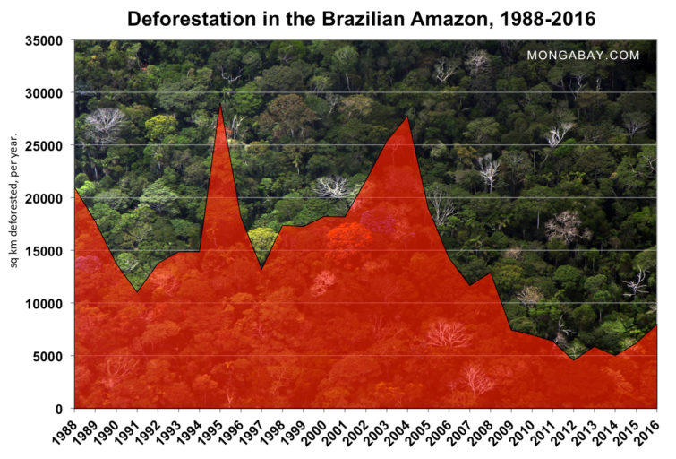 deforestation-in-the-brazilian-amazon