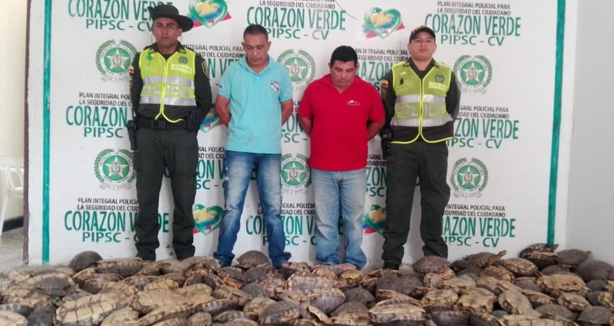 wildlife-trafficking-ecuador-8