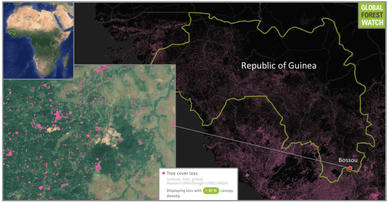 1206-guinea-bossou-map-768x402.png