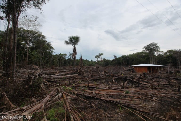 Deforestation in the Amazon, pictured here, can impact conditions in forests far away. Photo by Rhett A. Butler