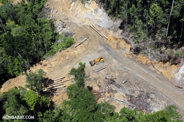 A bulldozer at a logging site in Malaysian Borneo. Logging and major infrastructure projects often go hand-in-hand. Photo by Rhett A. Butler / Mongabay