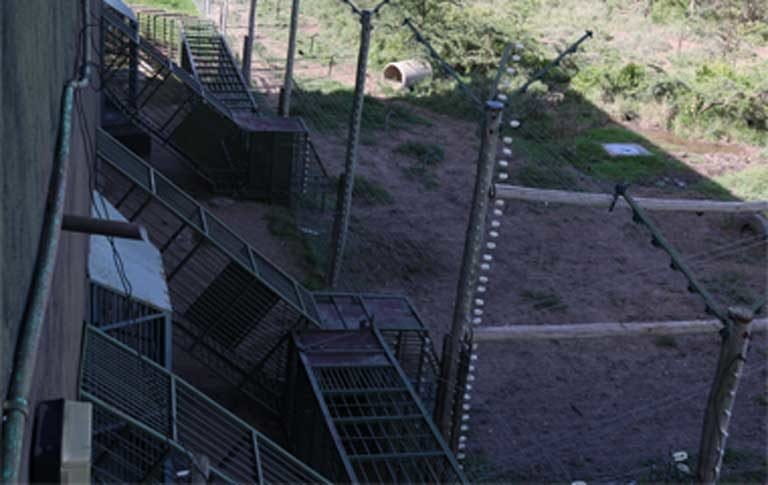 1.Tunnels through which the chimpanzees get into and out of the sanctuary building. Photo by Geoffrey Kamadi