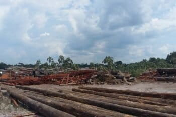Logging concession in Kwakwani, Guyana. Photo by Akola Thompson for Mongabay
