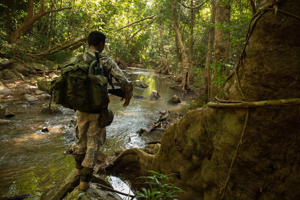 Wildlife rangers on patrol deep in Thap Lan national park search for illegal Siamese rosewood loggers. The illegal logging here is the beginning of a black-market trade in Siamese rosewood across Southeast Asia that sees the endangered hardwood end up thousands of miles away in furniture shops in China. Photo by Demelza Stokes. 