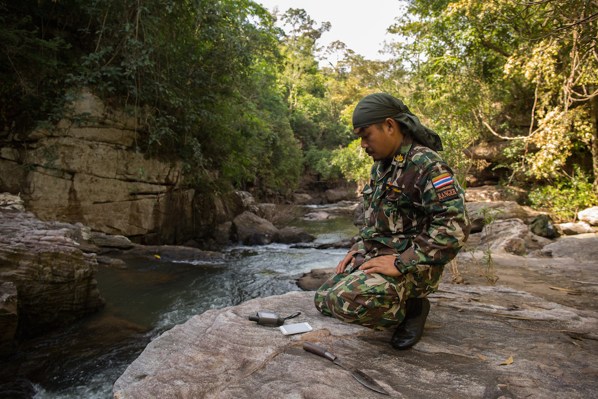 The rangers in Thap Lan National Park go on patrol deep in the lowland dipterocarp forest searching for illegal Siamese rosewood loggers - here Salak marks a waypoint on the GPS at a distinctive location to aid future patrols in this area. Photo by Demelza Stokes. 