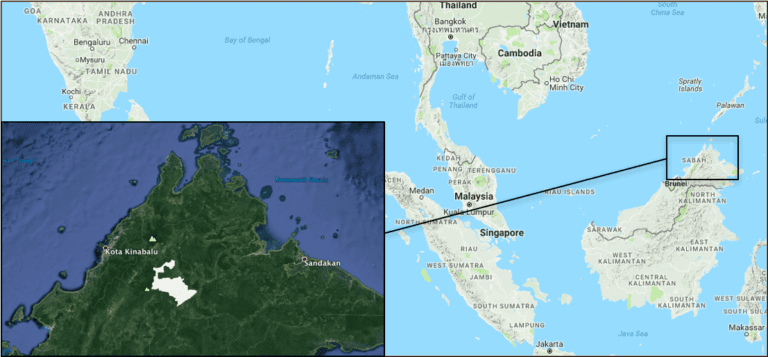 The location of Forest Management Unit 5 in Malaysian Borneo (in white). Map courtesy of Global Forest Watch and Google Earth