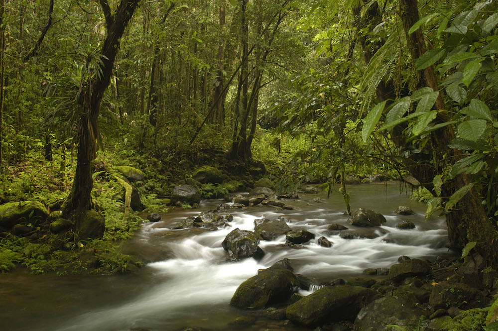 River in the rainforest near Mt. Bosavi.In Papua New Guinea. Photo courtesy of Markus Mauthe/Greenpeace.