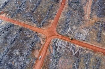A pile of wood that has been prepared to be burned in land controlled by Korindo in Papua. Photo courtesy of Mighty Earth