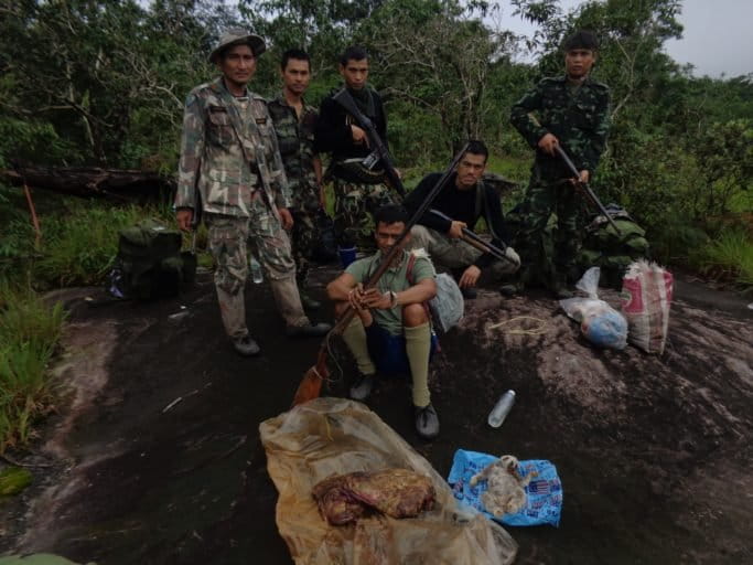 Wildlife rangers in Thailand’s Thap Lan National Park often encounter large groups of armed Siamese rosewood poachers who trek deep into the forest to get to the valuable wood — the gibbons typically dwell in remote areas where rosewood is found. Photo courtesy of Thailand’s Department of National Parks, Wildlife and Plant Conservation