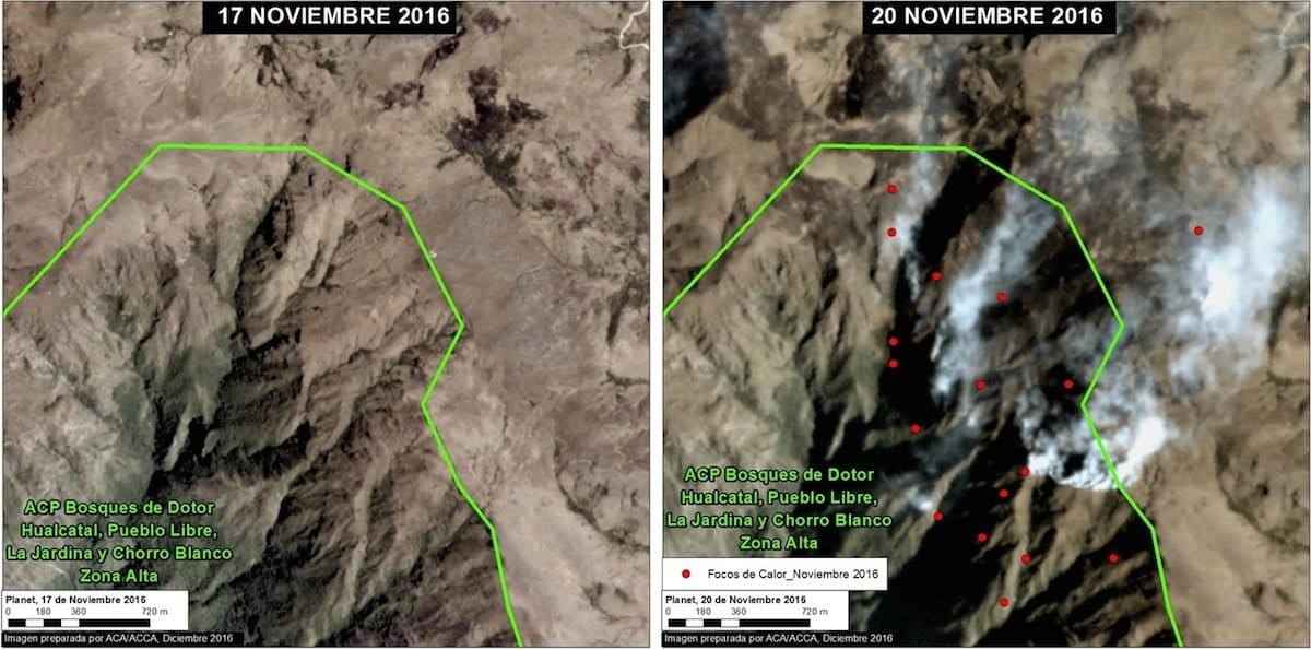 Image courtesy of MAAP - Data: Planet, VIIRS/NASA, SERNANP